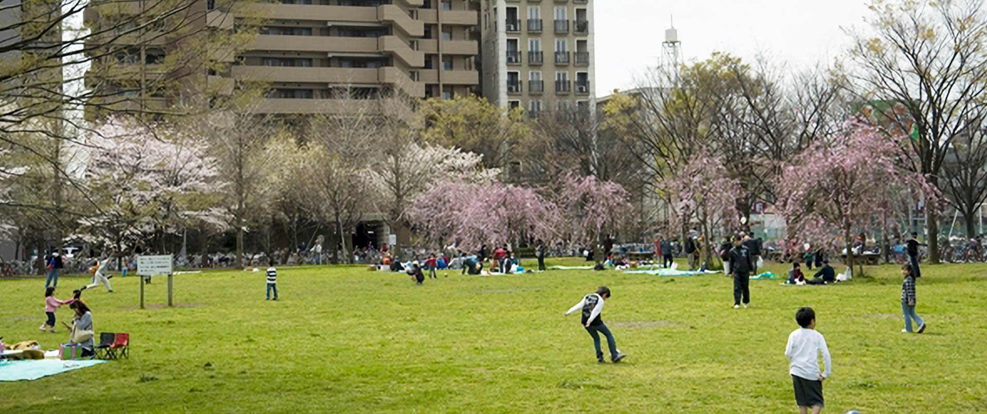 🏞️ 오구노하라 공원(오구노하라 코엔) 이미지 4